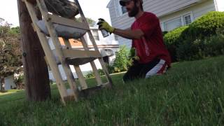 Vertical Herb Garden by UpCycling wood pallet. Grass to Garden with Wellness Hero