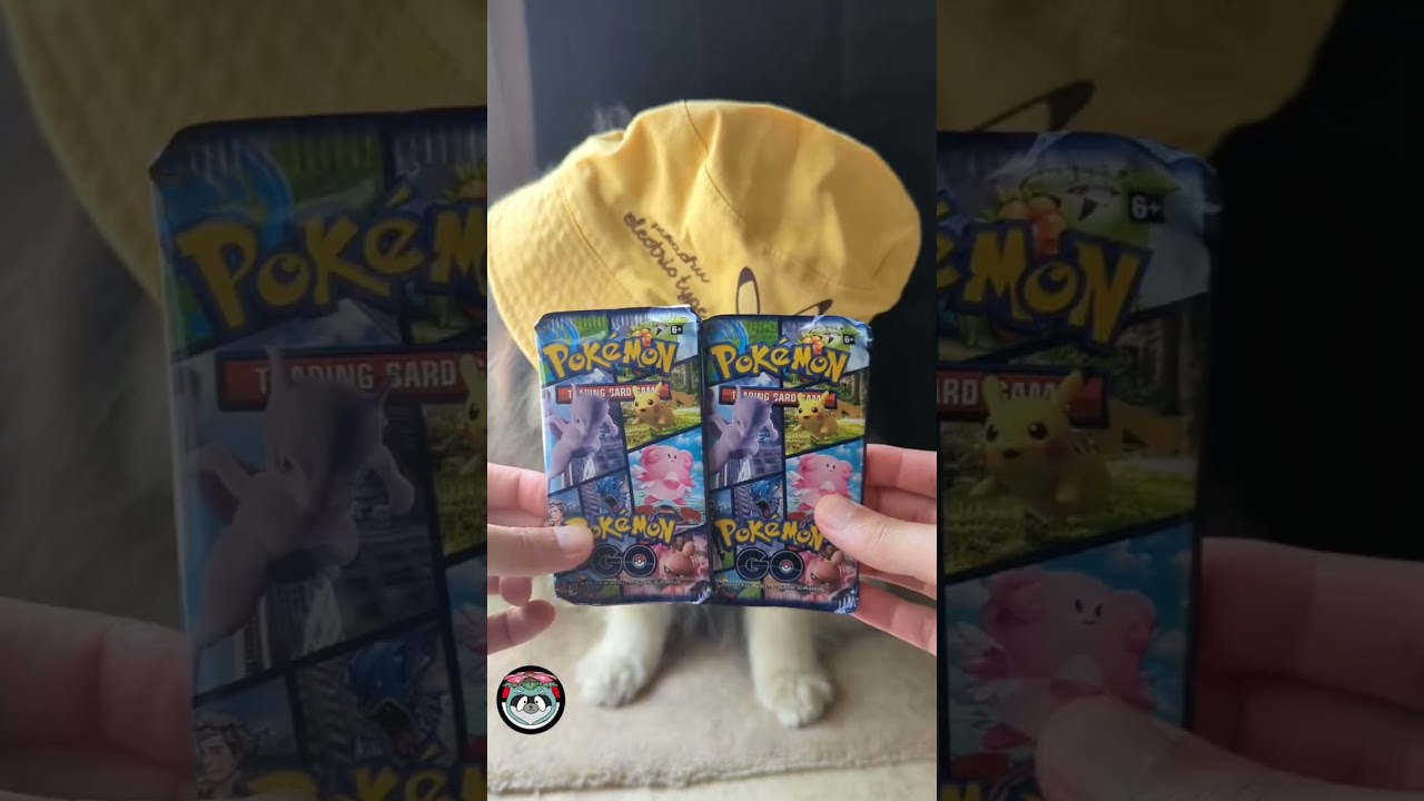 Pokémon Go Eevee Tin Pt1 