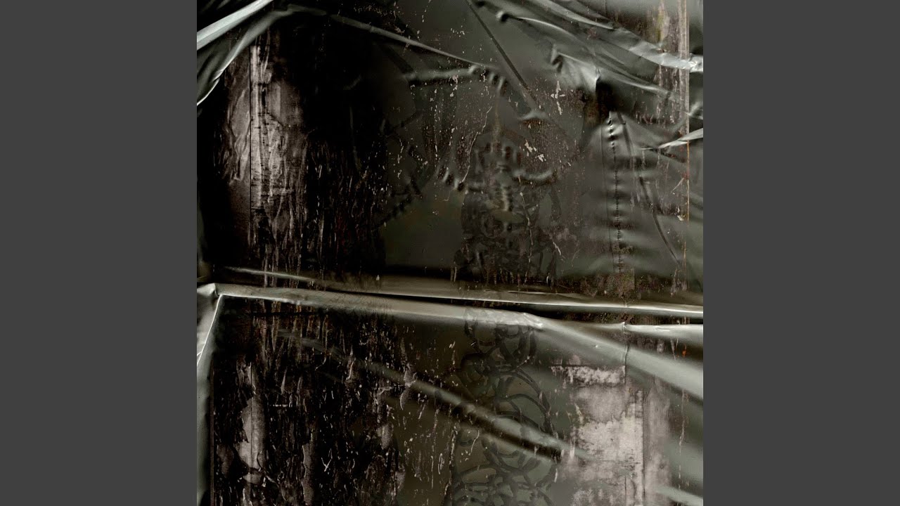 Watch Orb Weaver on YouTube Watch Orb Weaver on YouTube