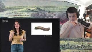 American Reacts When Giant Millipedes Reigned