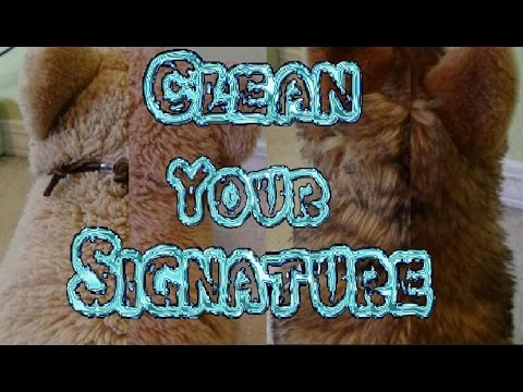 Come pulire la firma Webkinz