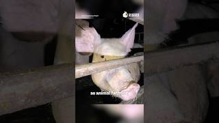 Zoonotic Diseases Surge
