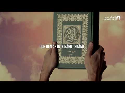 Surah At-Tariq - Raad Muhammad Al-Kurdi