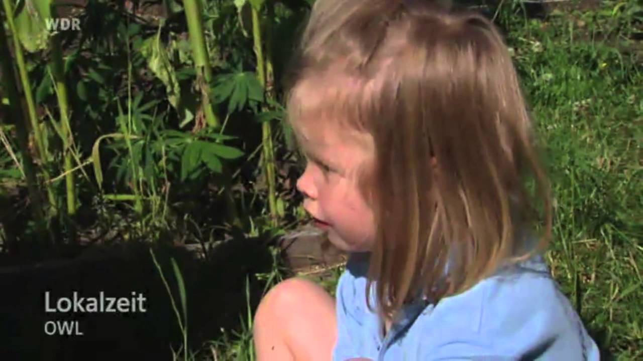 Ferien auf dem Birkenhof -- Folge 3