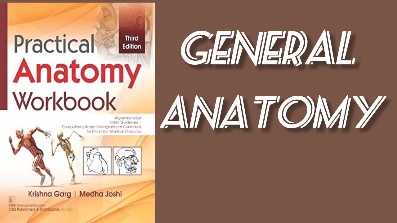 Anatomy Practical Filled Workbook General Anatomy Filled Work Book anatomy-practical-filled-workbook-general-anatomy-filled-work-book