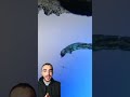 ممنوع تشرب من ماية النيل