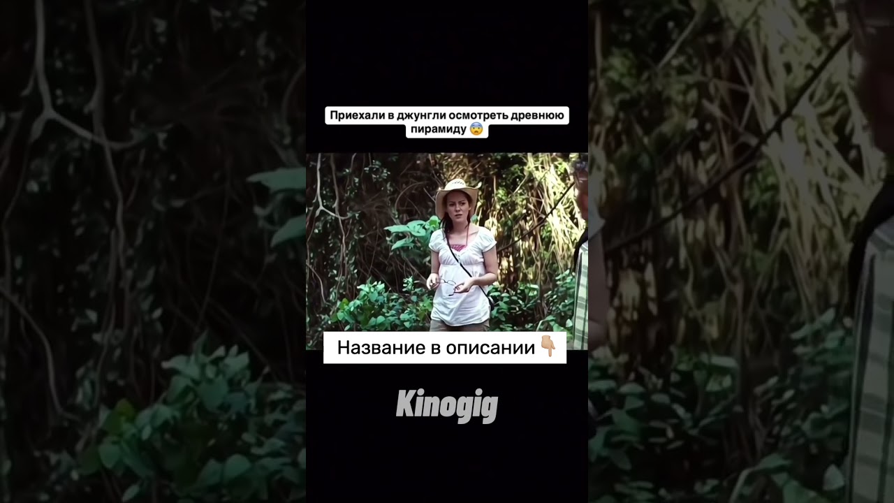 🎥 Кинофильм «Руины» (2008) 