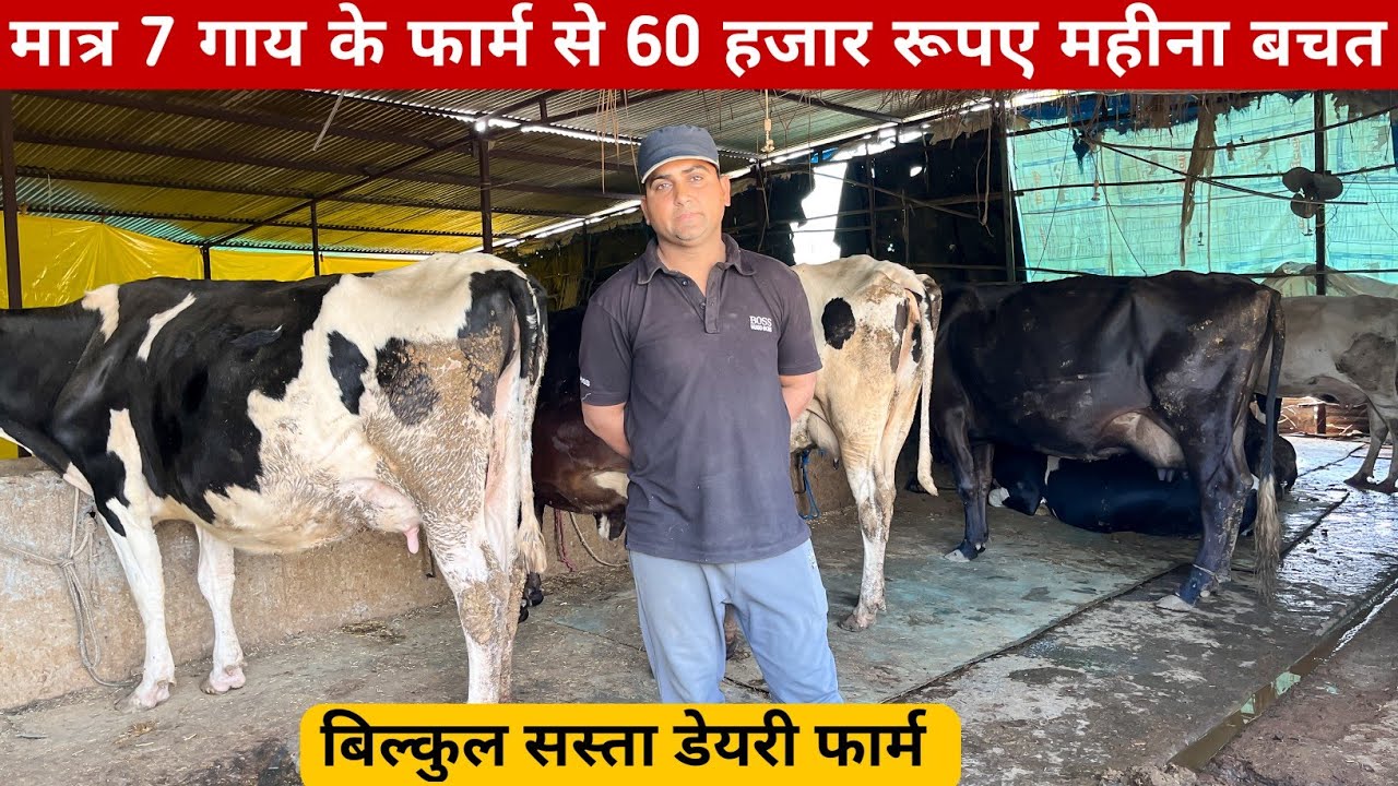 गाँव में छोटा डेयरी फार्म कर कमा रहे 60000 महीना | VILLAGE DAIRY FARMING IN INDIA