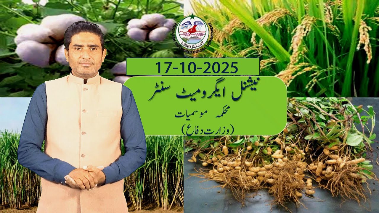 Farmer’s Weather Forecast Pakistan | 17 October 2025 | PMD Agriculture Weather Update