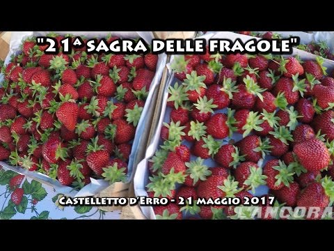 A Castelletto d’Erro la 21ª sagra delle fragole