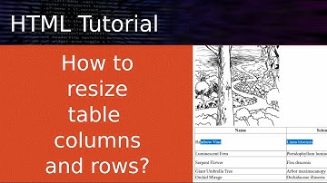Adjust Column Width Row Height