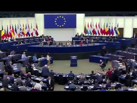 \"პუტინიც ასე ფიქრობს და ლაპარაკობს\" – ევროპარლამენტარი რასა იუკნევიჩიანე ირაკლი კობახიძეზე