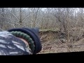 Dont point your finger at bigfoot zoom stable audio enhanced