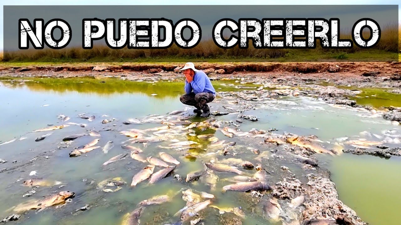Viajando en moto, mortandad de peces en el Rio Salado y DEL CARRIL PUENTE BLANCO, SALADILLO MJ-PESCA