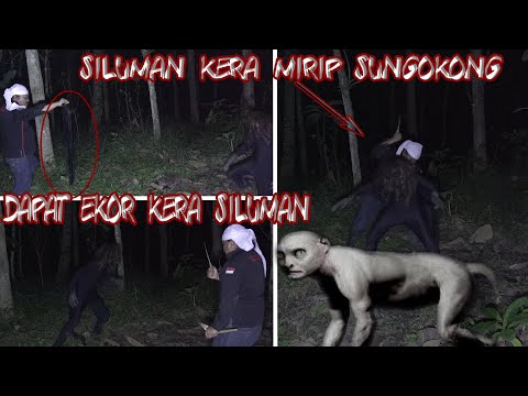 RAJA LUTUNG SILUMAN PESUGIHAN II OM JANIM NEKAT POTONG EKOR LUTUNG SILUMAN