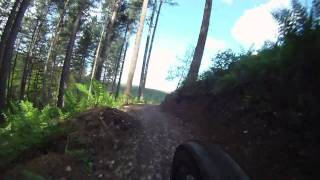 final descent cannock monkey trail.MP4