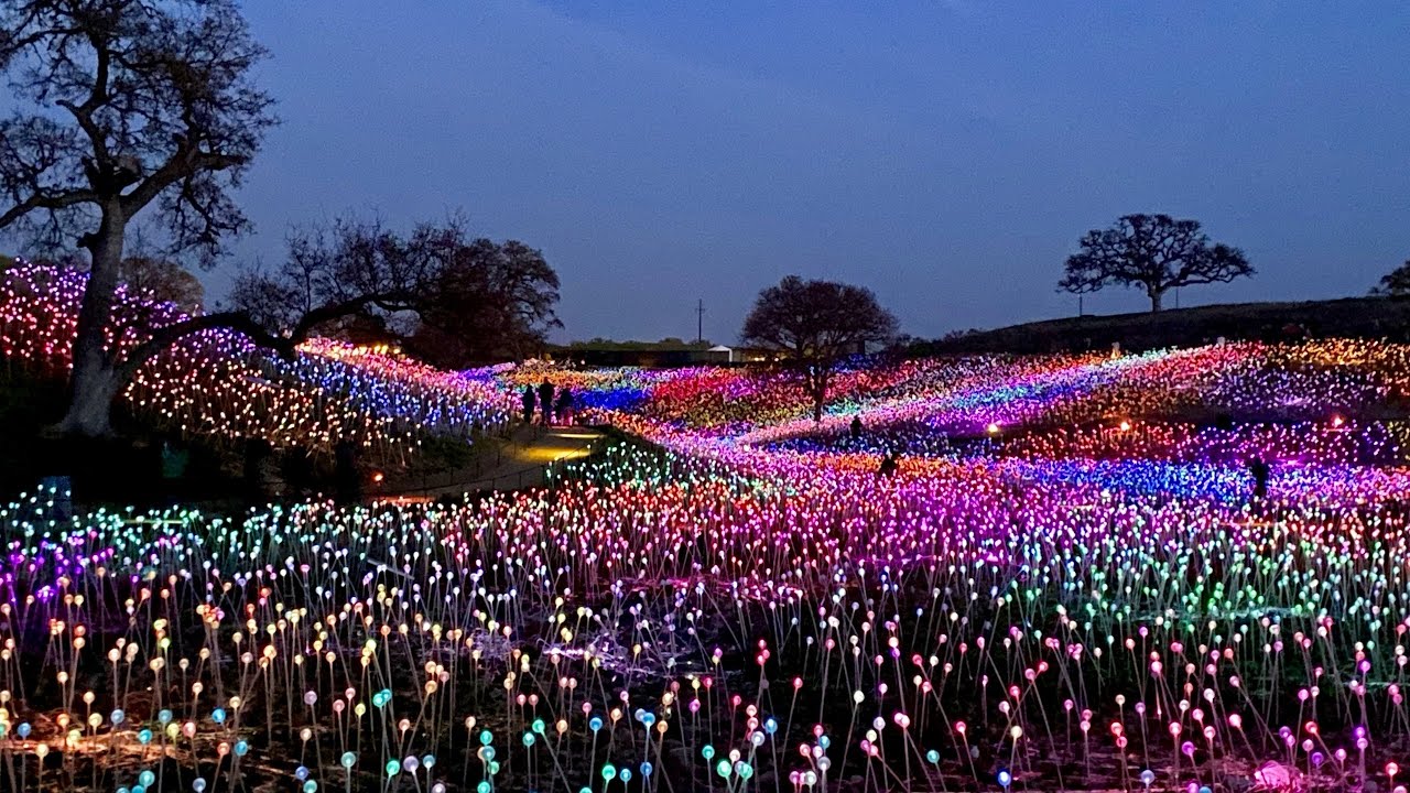 Bruce Munro Field of Light at Sensorio Paso Robles YouTube