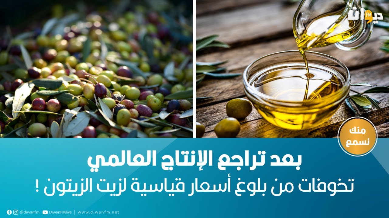 بعد تراجع الإنتاج العالمي.. تخوفات من بلوغ أسعار قياسية لزيت الزيتون !