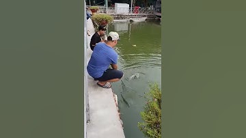 Câu cá lưỡi jig