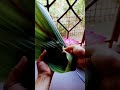 Unique idea 💡 | creative Art #viral #art #youtubeshorts #unique #tranding