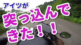 【ChickenMotovlog】バイク走行中にアイツが突っ込んできた