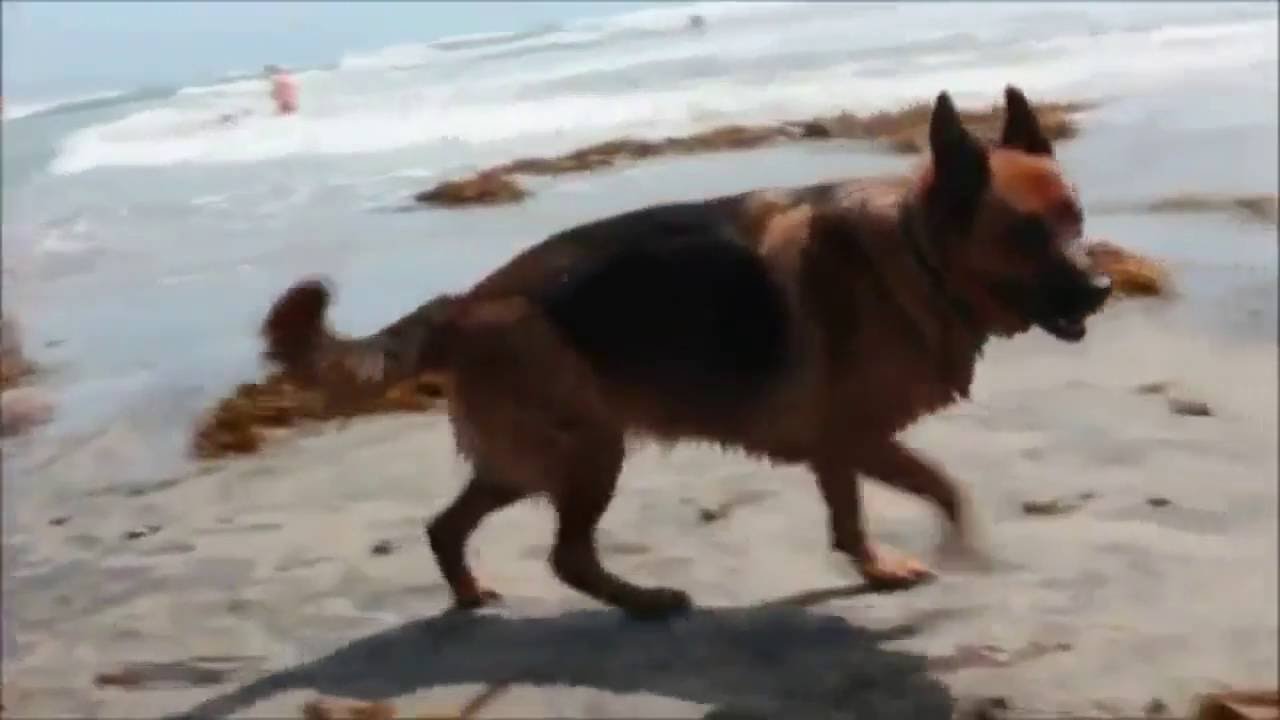 Enagic USA Drinking Water in Torrance, CA