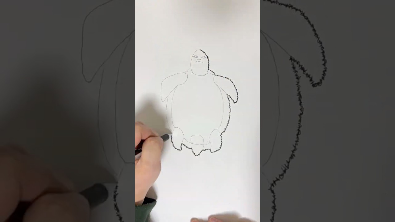 Line Art of a Turtle | Ink Creature Series No.25