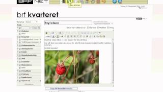 Demofilm Brfnet Hemsida