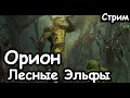 Орион. Лесные Эльфы. (Легеда.) ч.1 Total War: Warhammer 2.