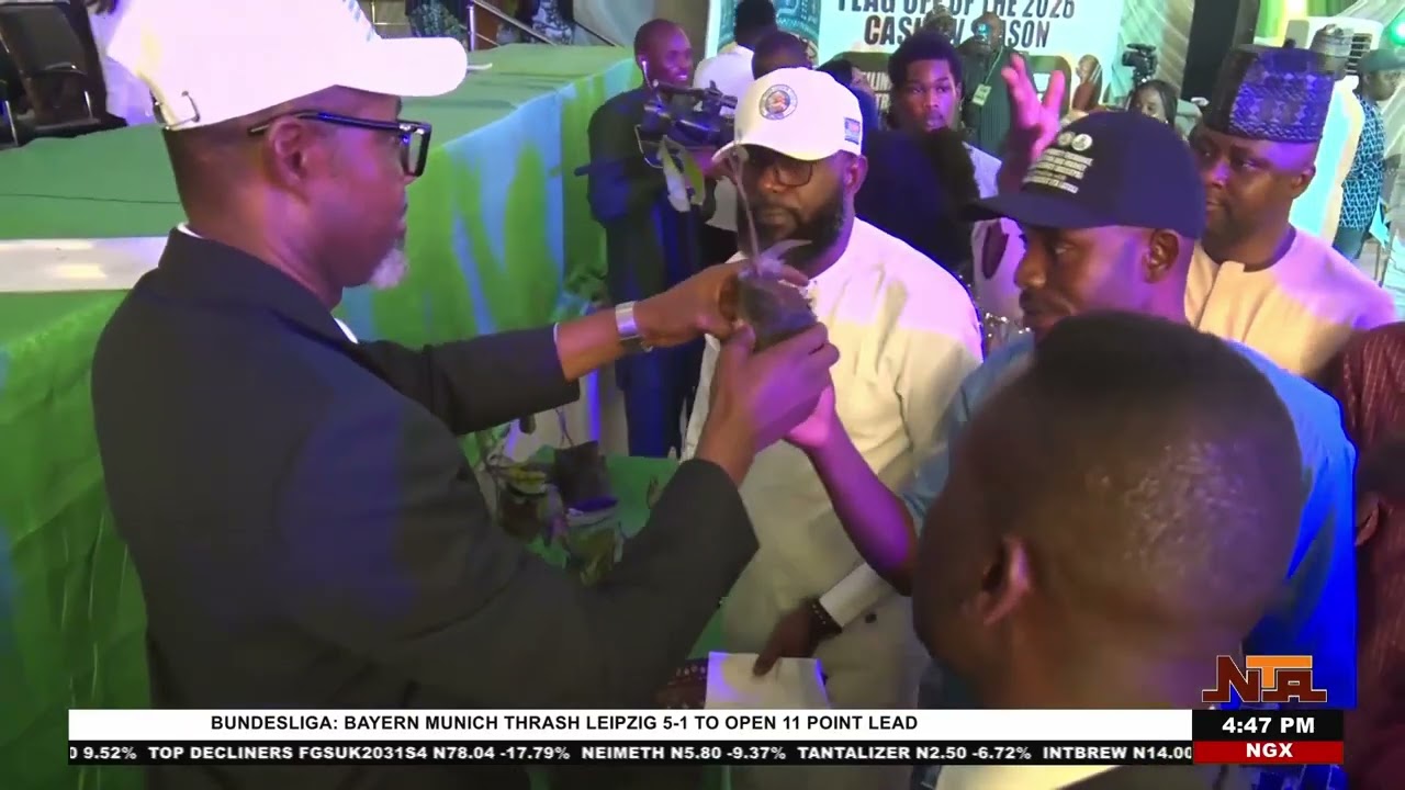 Правительство штата Коги дало старт сезону сбора кешью 2026 года для увеличения доходов и создани...