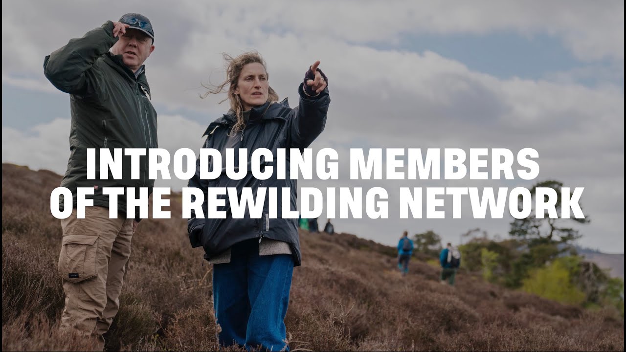 Meet the Rewilding Network — West Dorset Wilding