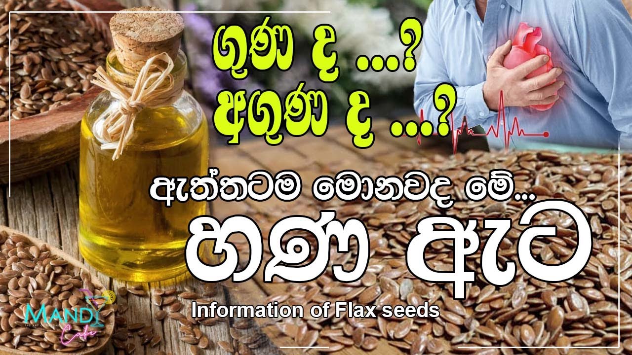 පාවිච්චිය පරිස්සමෙන්❗මෙච්චර ගුණ දෙයක් දැකලා තිබුණ ද |Information Of Flax Seed|කෙට්ටු වෙන්න ආසා අයට🥰