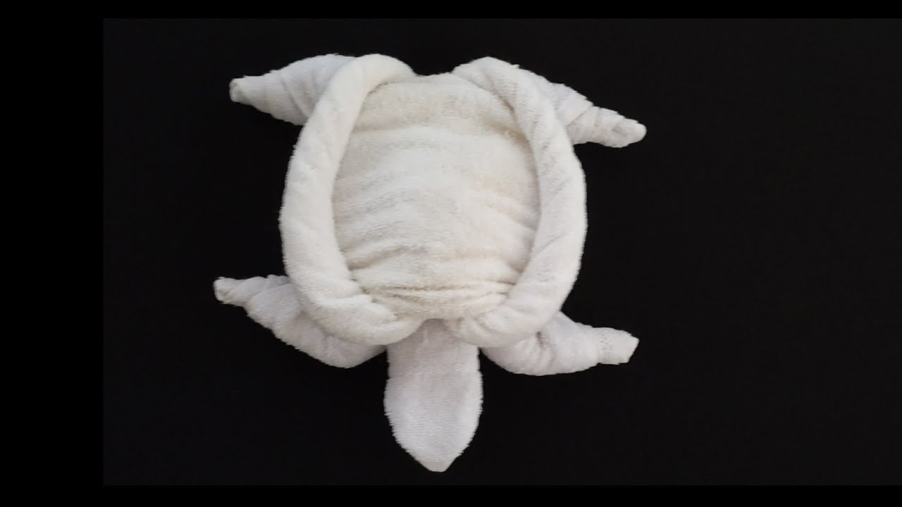 Towel animal TURTLE Towel folding art YouTube