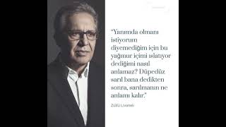 Nazan Öncel Leylim Yar... Resimi