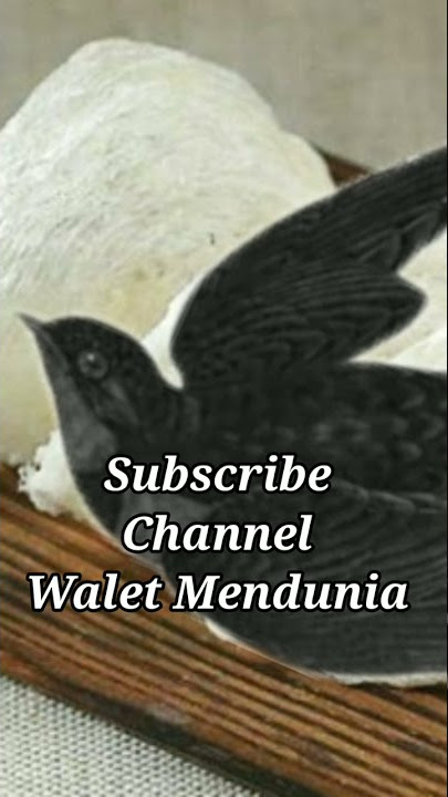 SP Walet Terbaik  #Shorts