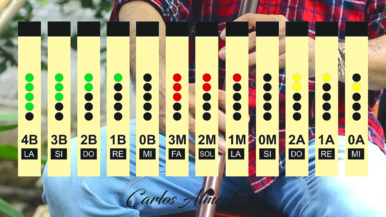 TUTORIAL 3- GAITA LARGA