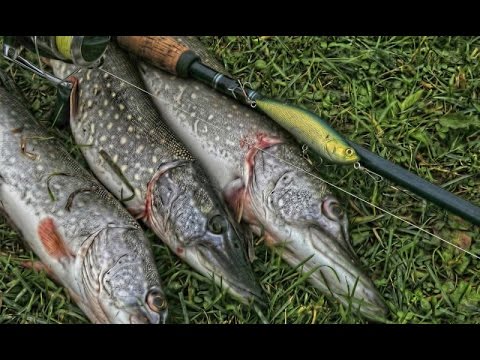 рыбалка на реке свирь рыбалка на реке свирь