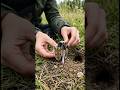 POV: Tiny Camera on a Mouse Exploring a Secret Underground World 🐭