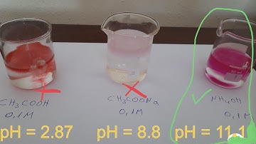 How to find pH of a weak base?🤔 0.1 M NH3 | Ionic Equilibrium #28