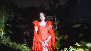 Dynoro feat. Sophie Simmons - Live and Die
