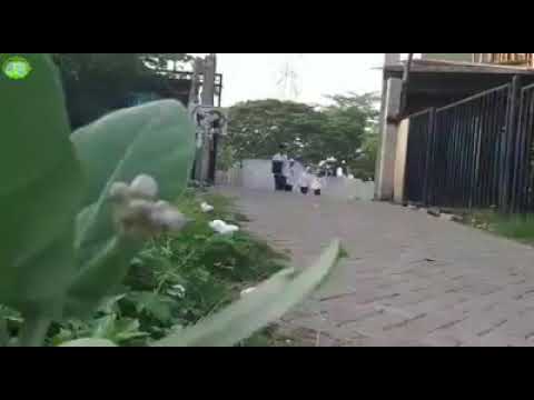 Selamat Mondok Nak...