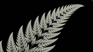 Barnsley Fern Fractal