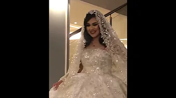 اغنية يا نجف بانور لعلى الحجار حالة واتس 