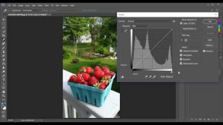 Preparing for Cutout Filter