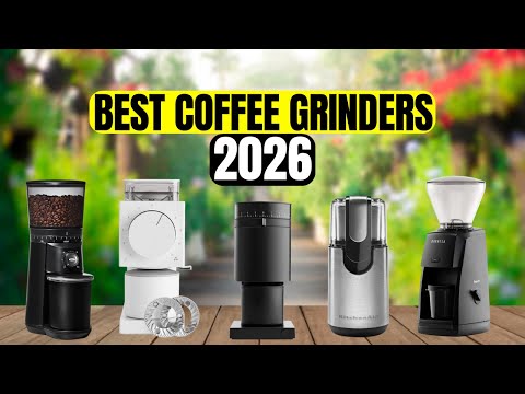 🏆The 5 Best Coffee Grinders of 2026 Ranked & Reviewed