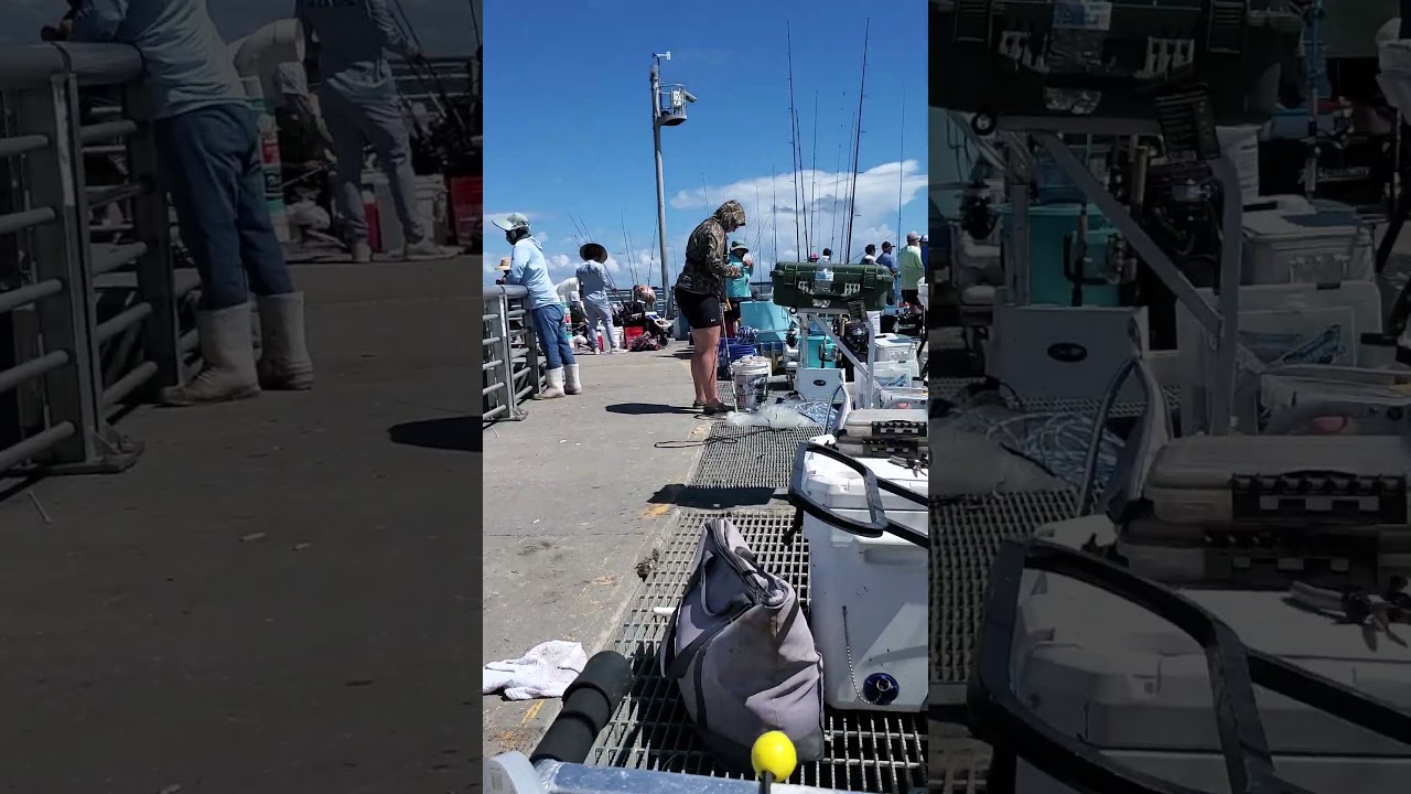 This is what it's like on a slow day fishing sabastion inlet. Wait till yall se the long videos