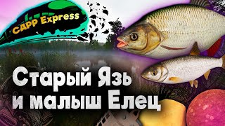 Закрываю Язя на Комарином и немного поплавка / СДРР Express ( Русская рыбалка 4 )