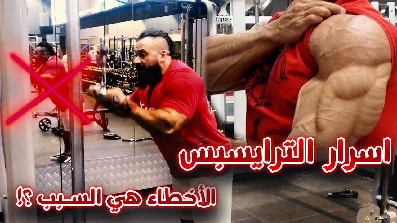 الترايسبس لا تتحسن . لا تنمو . لا تضخم . ما هو السبب برأيك ؟ كابتن جانتي الحركة الصحيحة