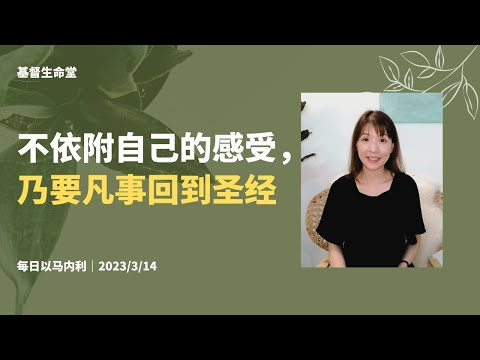 不依附自己的感受，乃要凡事回到圣经｜每日-20230314