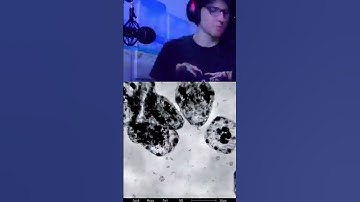 worst stutter of 2025 | #muffinism0 on #Twitch